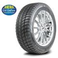 225/40R18 92H XL Delinter WINTER WD52