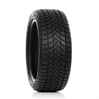 195/55R16 87H Mastersteel WINTER+