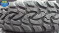 31x10.50R15 109Q Transmate TRANSFORTIS MT01