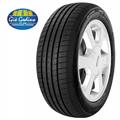 205/55R16 91V AutoGreen SMART CHASER SC1 TL non scontrinare