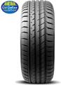195/55R15 85V Transmate SPORT D1