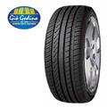 225/55R17 101W XL Fortuna ECOPLUS UHP