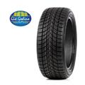 215/55R17 98H XL Delinte WD6